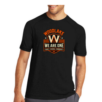 Unity Series Thumbnail